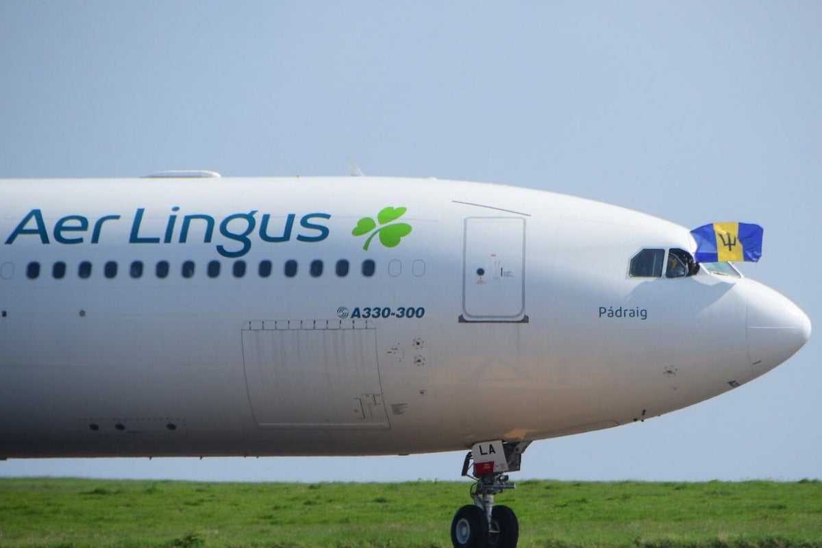 Aer Lingus faces another strike – this time by Manchester cabin crew Aer Lingus faces another strike – this time by Manchester cabin crew